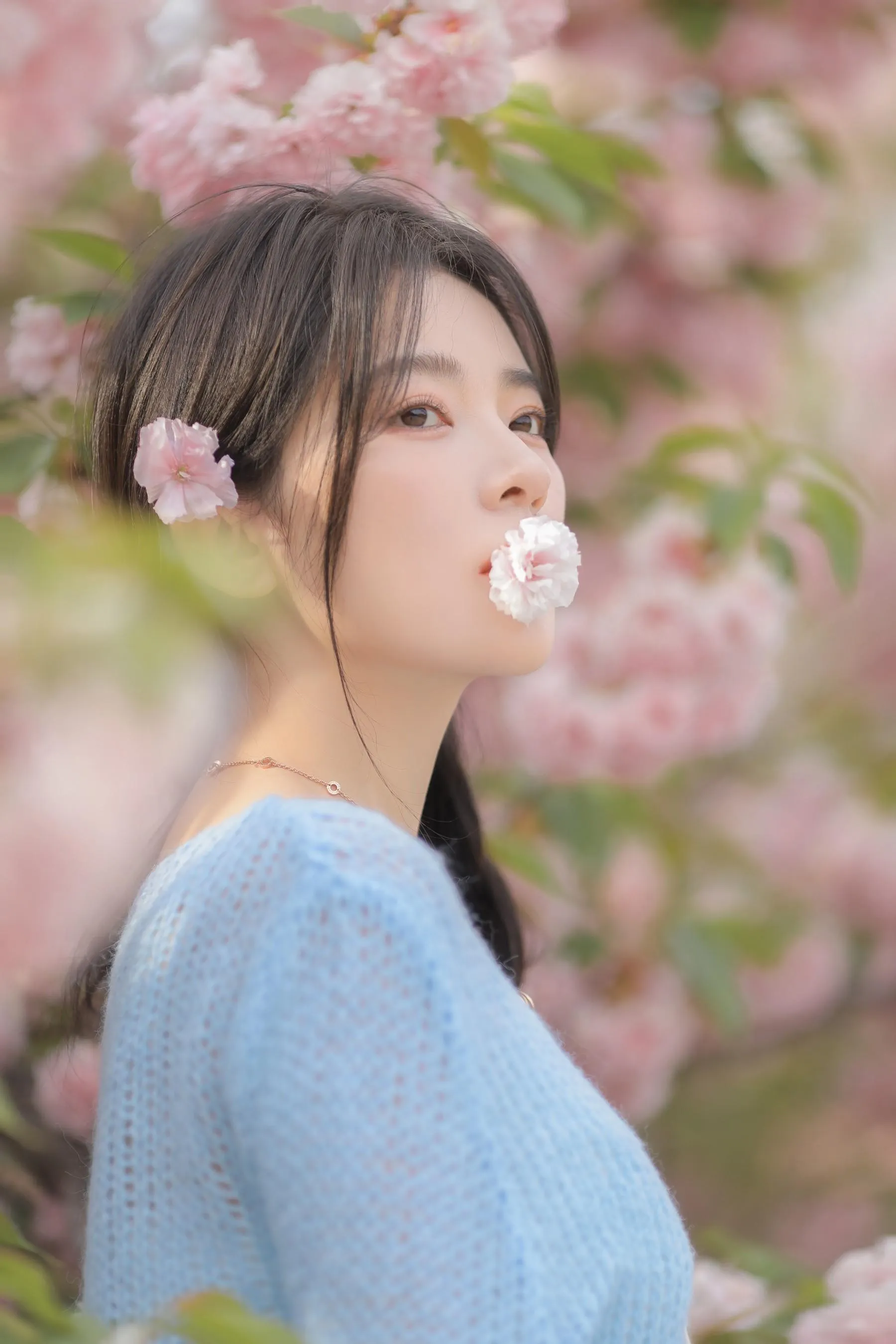 [艺图语] 2022.06.22 粉蓝晚樱 杨伊墨 [29P]插图